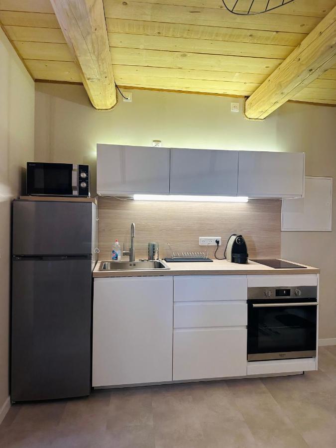Апартаменты Duplex La Tour Сент-Этьен-де-Тине Экстерьер фото